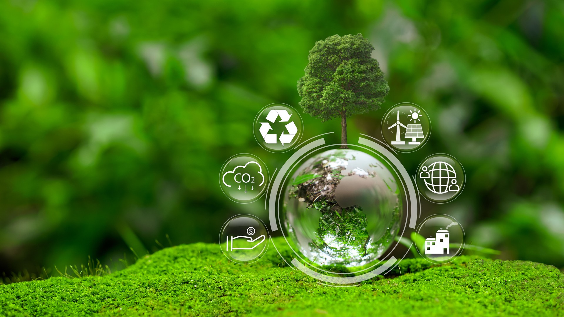 ESG concept. Tree and world with ESG icon. Environmental impact assessment related to product value chain. Business value chains and sustainable growth.